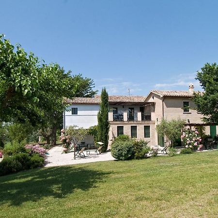 Vigna Sant' Amico Country House Morro dʼAlba Exteriér fotografie