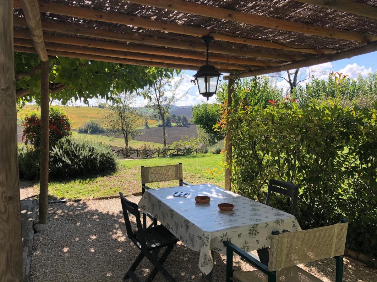 Vigna Sant' Amico Country House Morro dʼAlba Exteriér fotografie