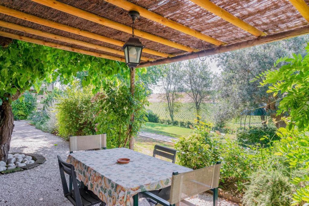 Vigna Sant' Amico Country House Morro dʼAlba Exteriér fotografie