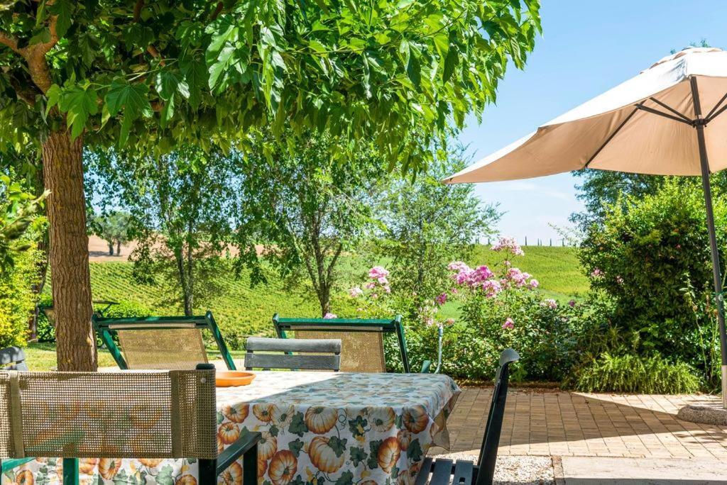 Vigna Sant' Amico Country House Morro dʼAlba Exteriér fotografie