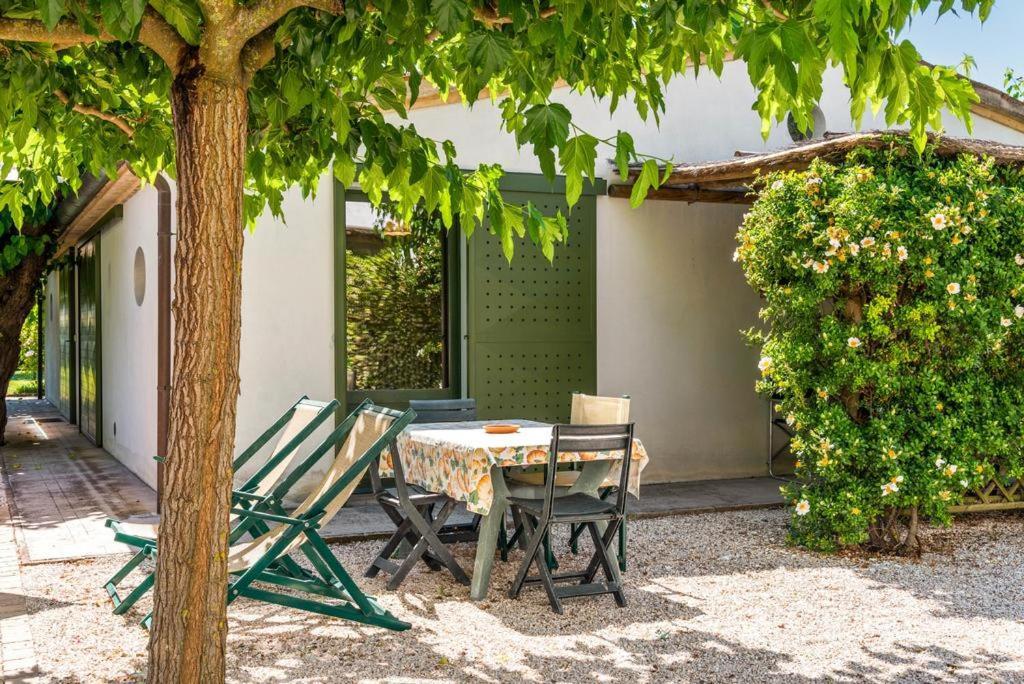 Vigna Sant' Amico Country House Morro dʼAlba Exteriér fotografie
