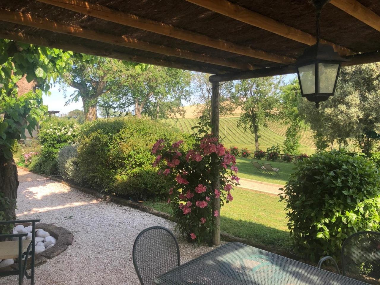 Vigna Sant' Amico Country House Morro dʼAlba Exteriér fotografie