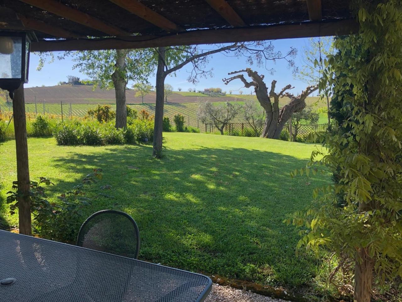 Vigna Sant' Amico Country House Morro dʼAlba Exteriér fotografie