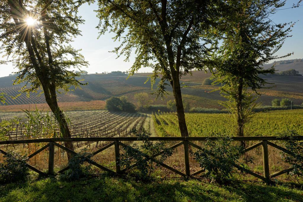 Vigna Sant' Amico Country House Morro dʼAlba Exteriér fotografie