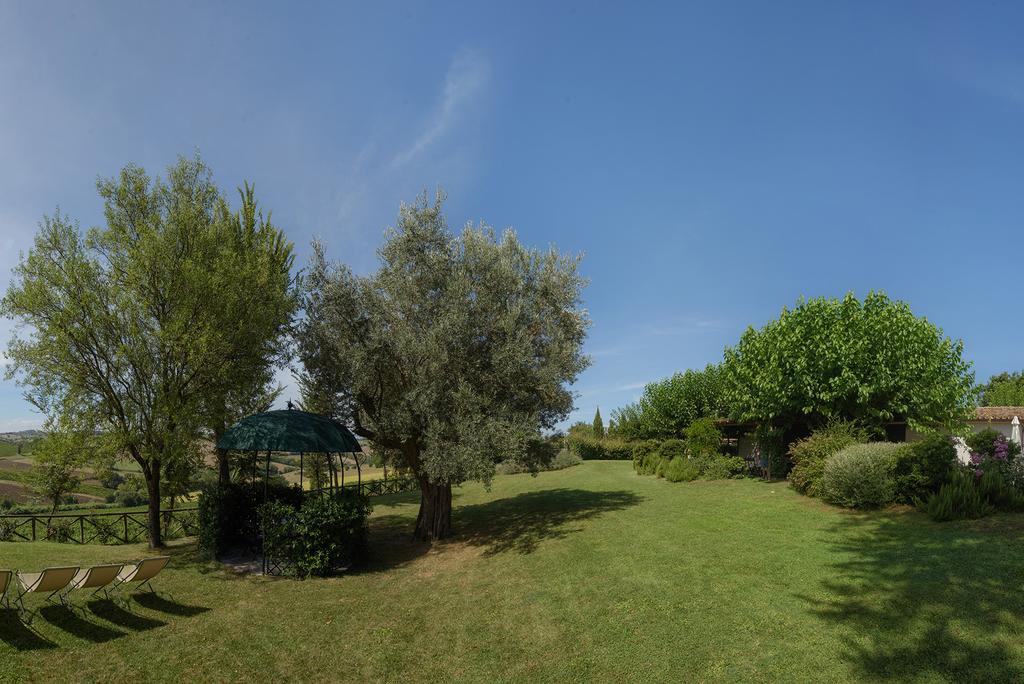Vigna Sant' Amico Country House Morro dʼAlba Exteriér fotografie