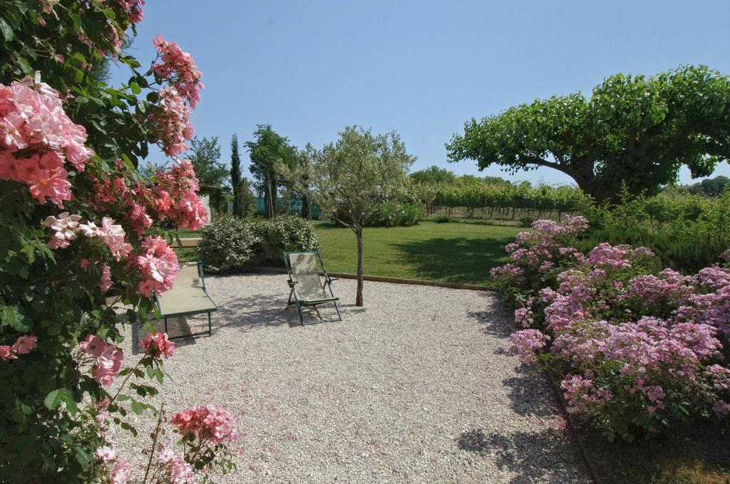Vigna Sant' Amico Country House Morro dʼAlba Exteriér fotografie